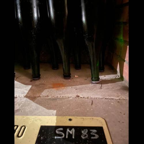 Champagne Sanger 1993 Magnum BdB on lees in cellars - Auction