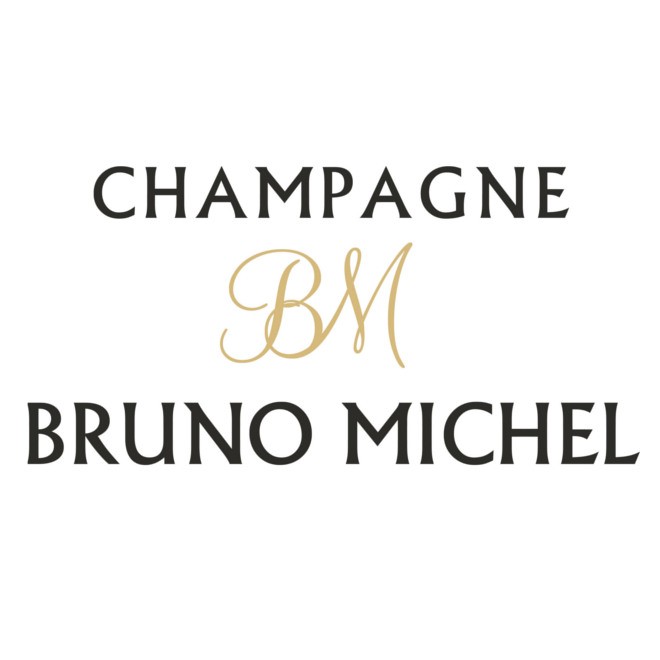 Bruno Michel logo