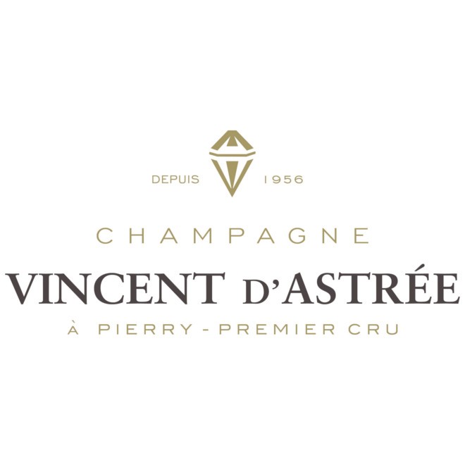 Vincent D&#039;Astree logo
